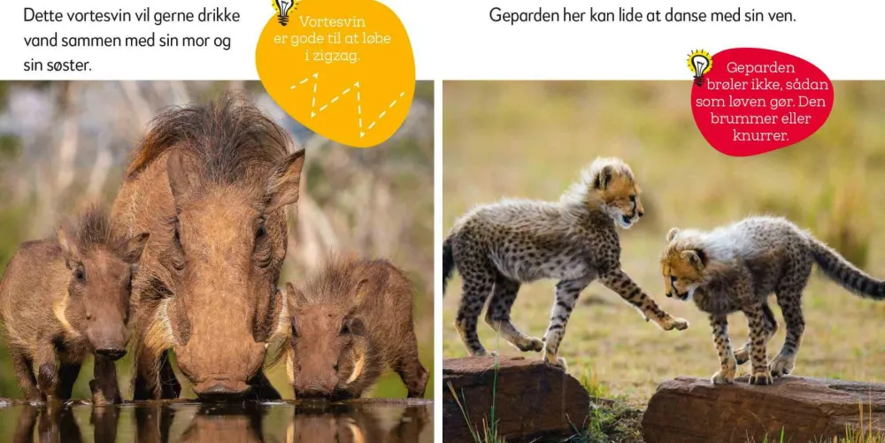 Sprog & Leg|Legetøj Til Ferien< Aktivitetskuffert - Vilde dyr
