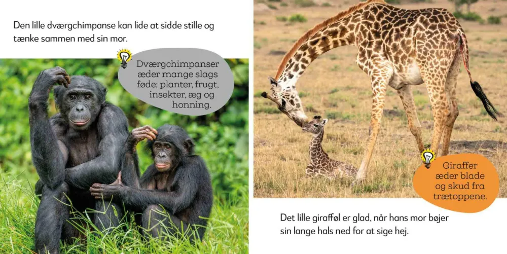 Sprog & Leg|Legetøj Til Ferien< Aktivitetskuffert - Vilde dyr