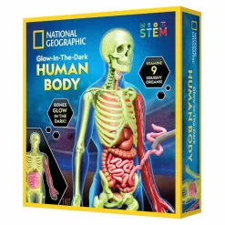 Stem Læringslegetøj|Naturvidenskab<National Geographic Anatomisæt - Bliv klogere på kroppen