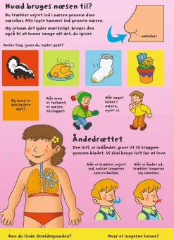 Sprog & Leg|Naturvidenskab<Forlaget Bolden Den store flapbog: Kroppen