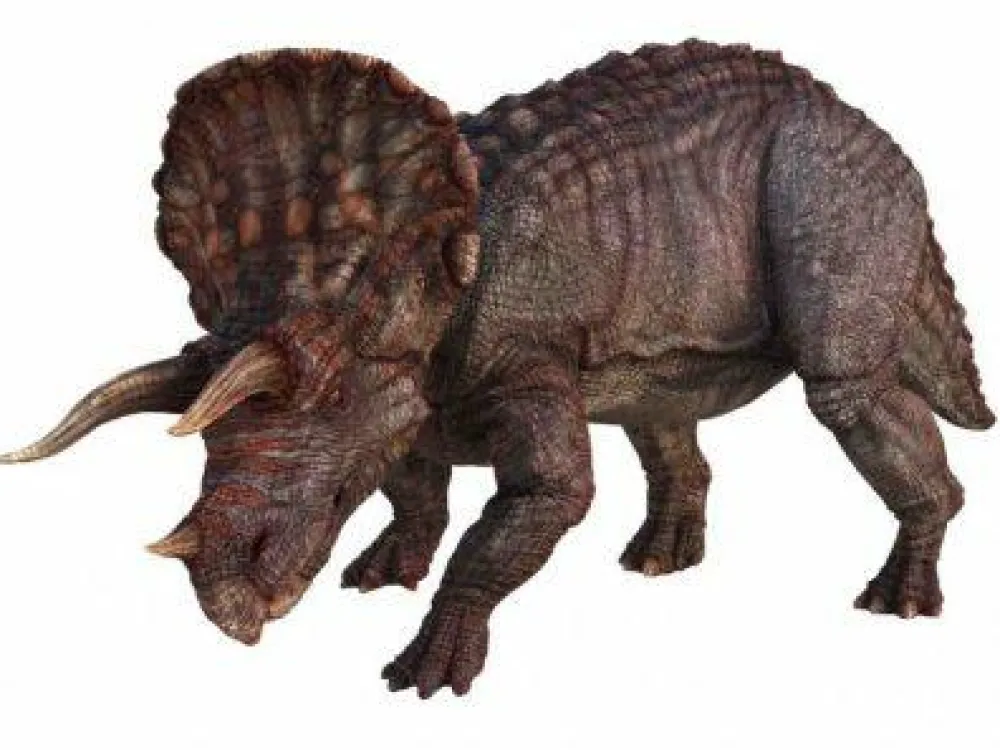 Legetøj Til Ferien|Dinosaur Legetøj<Brainstorm Dias med dinosaur