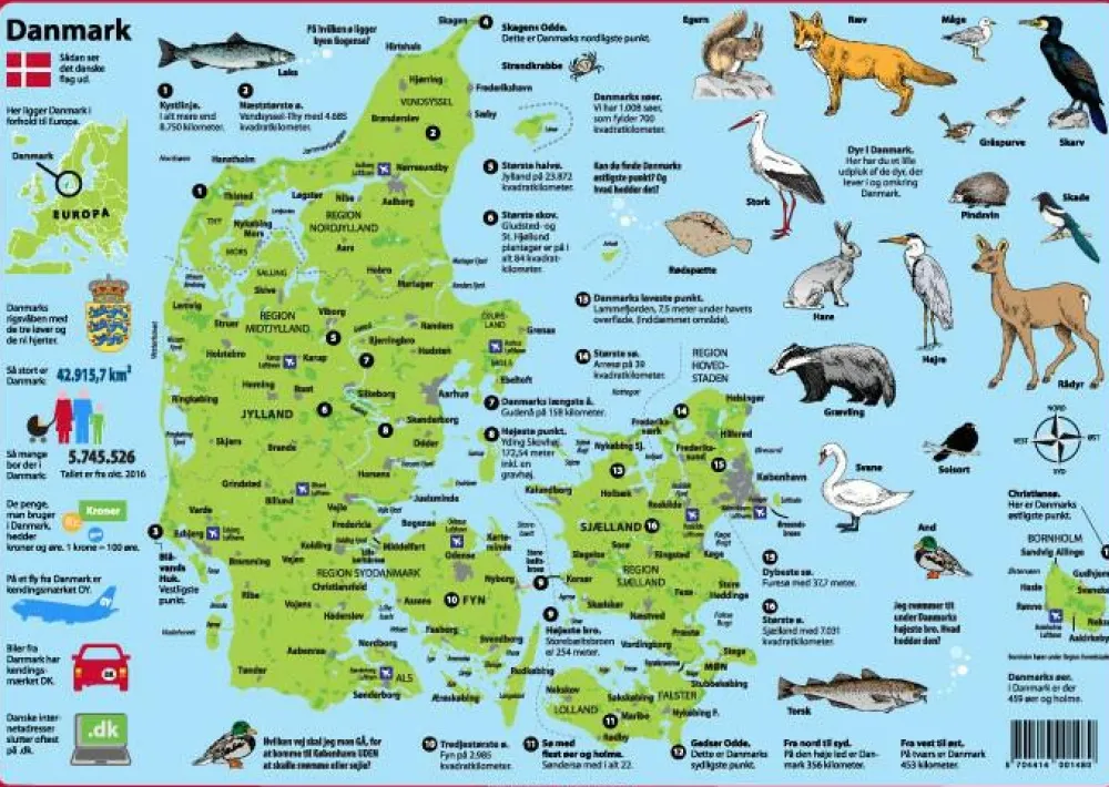 Skolesjov< Dækkeserviet - Danmark