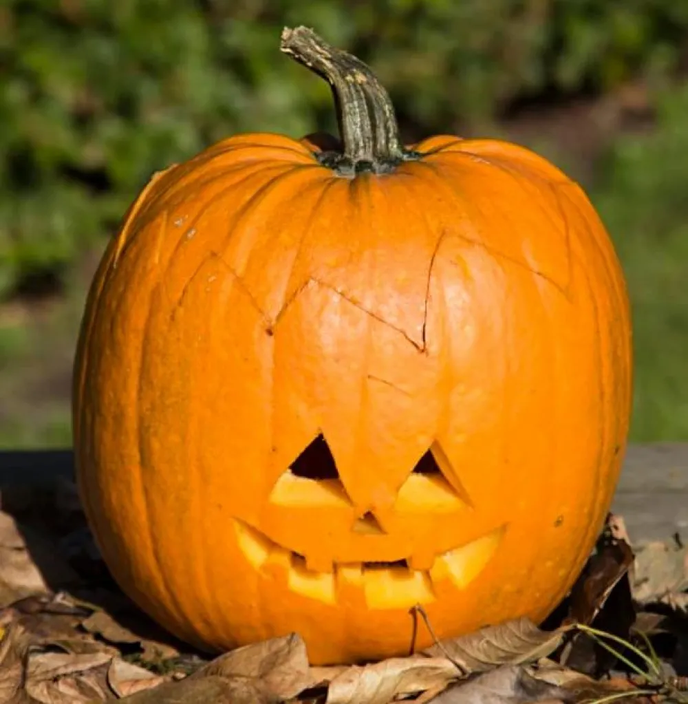 Halloween< Græskar skæresæt m. 3 dele
