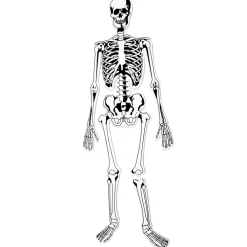 Halloween|Anatomi/Kroppen<Learning Resources Gulvpuslespil - Skelet
