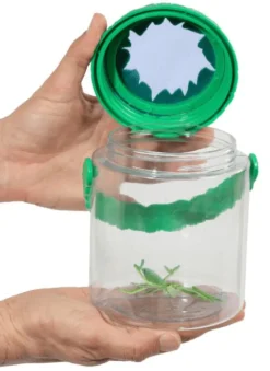Insekt & Naturleg<InsectLore Insektglas m. net i låget - Ø10,5 cm