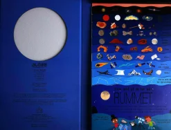 Fagbøger|Astronomi< Kom med ud i rummet
