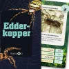Naturvidenskab|Legetøj Til Ferien< Kortspil - Edderkopper