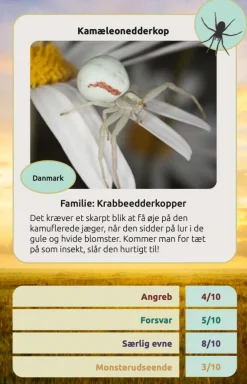 Naturvidenskab|Legetøj Til Ferien< Kortspil - Edderkopper
