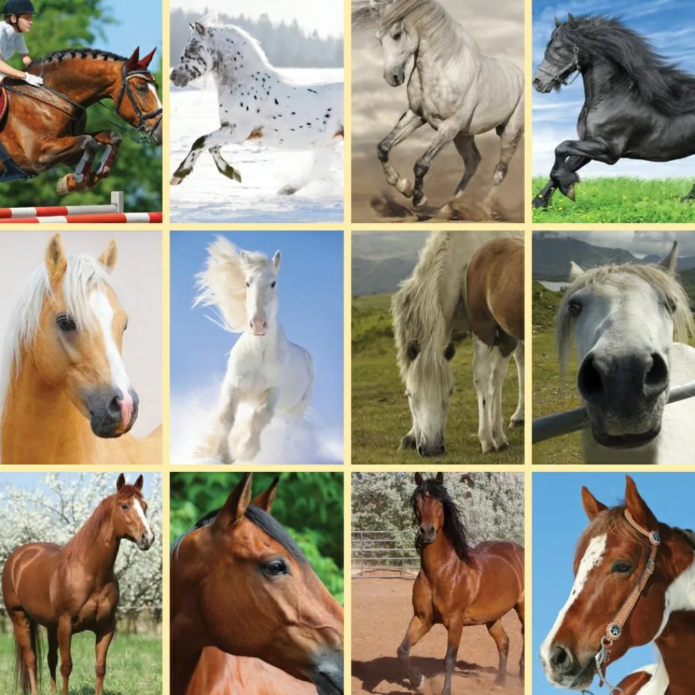 Legetøj Til Ferien<Brainstorm Lommelygte med dias - Hest