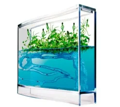 Insekt & Naturleg|Eksperimenter< Myreakvarium med planter