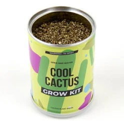 Naturvidenskab|Insekt & Naturleg< Plant selv kit - Kaktus