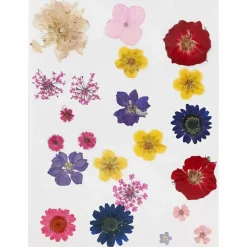 Påske|Kreativ Leg<Creativ Company Pressede blomster - Blandede farver, 1 ark