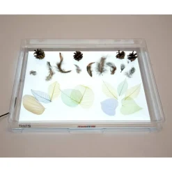 Taktil / Følesans|Finmotorik<tickit® Transparent bakke til lyspanel A3