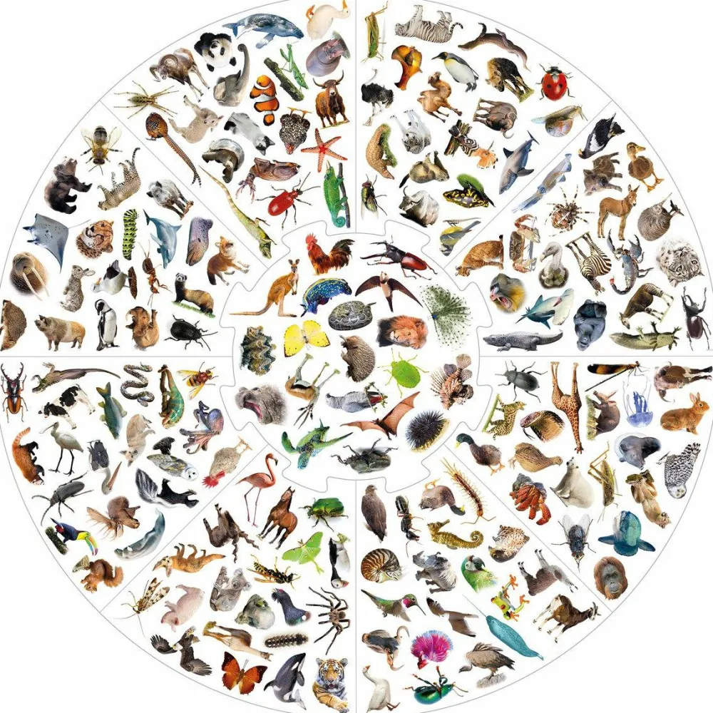 Spil<educa Vildkatten - Animals