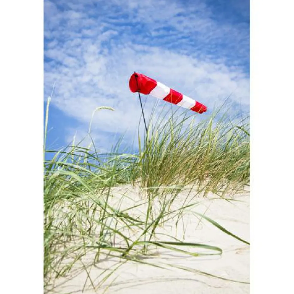 Udeleg|Strand- & Sandlegetøj< Vindpose - 60 cm